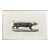 French Antique 18th Century Animal Engraving Hand Colored Artwork For Sale