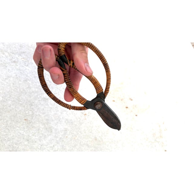 Early 20th Century Antique Japanese Bonsai Pruning Shears For Sale - Image 5 of 5