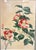 Vintage Japanese woodblock print “Camellia” by Kyoto artist Nisaburo Ito (1905–2001), published by Uchida Art Co., circa...