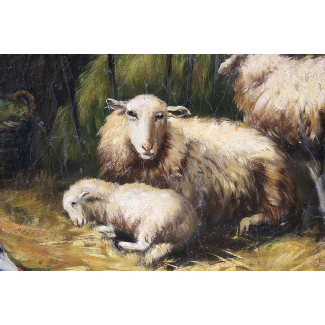 Sheep, 1920s, Oil on Board, Framed For Sale - Image 11 of 16