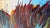 2000 - 2009 Large Vincent Golshani Contemporary Coastal Abstract Painting For Sale - Image 5 of 7