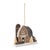 Embrace the charm of farmhouse style this holiday season with our Glittered Barn Ornament Set. Featuring beautifully...