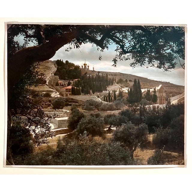American American Colony Jerusalem, Vintage Large Albumen Photo Jerusalem Photograph American Colony Mt Zion Trees, 1890-1920 For Sale - Image 3 of 5