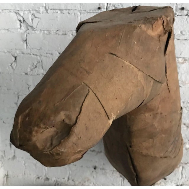 Mid 20th Century Early 20th Century Taxidermy Mold Horse Head For Sale - Image 5 of 11