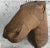 Mid 20th Century Early 20th Century Taxidermy Mold Horse Head For Sale - Image 5 of 11