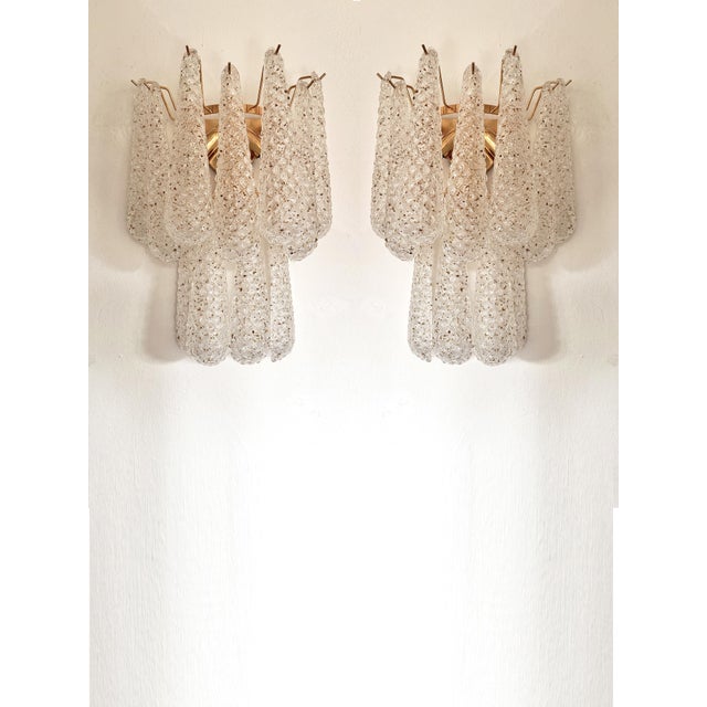 Gold Contemporary Modern “Conchiglie” Murano Glass Gold Wall Sconce-Set of Two For Sale - Image 8 of 8