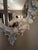 Ceremonial Mirror in Capodimonte Porcelain For Sale - Image 6 of 8