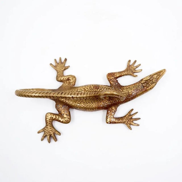 Komodo Lizard Brass Handle For Sale - Image 3 of 16