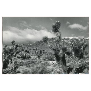 Erich Andres, Mojave Desert, California, USA, 1960s, Black and White Photograph For Sale