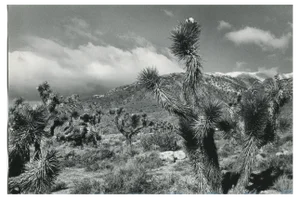 Erich Andres, Mojave Desert, California, USA, 1960s, Black and White Photograph