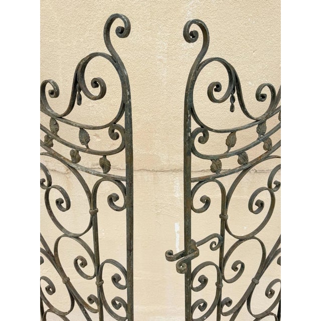 Green Antique Spanish Renaissance Scrolling Wrought Iron 57 X 45 Garden Entry Gate Set For Sale - Image 8 of 18