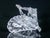 Harlequin Masquerade in Crystal by Swarovski For Sale - Image 18 of 18
