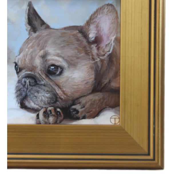 French Frenchie Bull Dog portrait study, acrylic painting on artist panel. Included are the antiqued gold wood frame and...