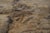 Andrianna Shamaris Petrified Wood Table For Sale - Image 9 of 18
