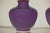 This exquisite pair of purple ceramic vases combines timeless elegance with contemporary charm. Their rounded bellies and...