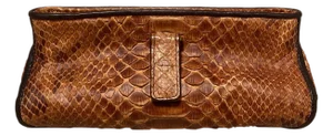 Bottega Veneta Tan Snakeskin Clutch