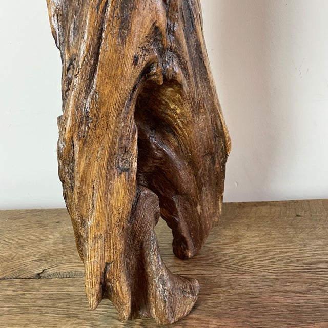 Folk Art Naïve Sculpture in Root Wood, 1800s For Sale - Image 13 of 16