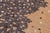 Abstract Abstract Beige/Gray High Low Wool & Silk Rug - 5'4'' X 8'1'' For Sale - Image 3 of 9