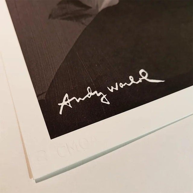 Mid-Century Modern After Andy Warhol, Self-Portrait, Lithograph, 1980s For Sale - Image 3 of 7