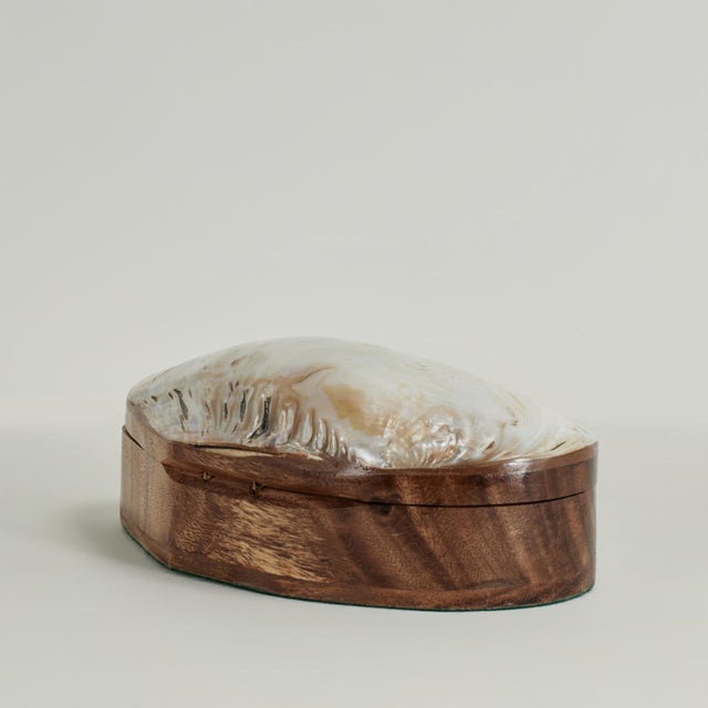 Vintage Seashell Box For Sale - Image 4 of 11