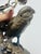 Metal Bronze Sculpture of a Parakeet For Sale - Image 7 of 7
