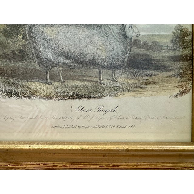 Mid 20th Century Mid 20th Century Sheep Engravings Capel Sheep Silver Royal Framed Prints - Set of 2 For Sale - Image 5 of 10