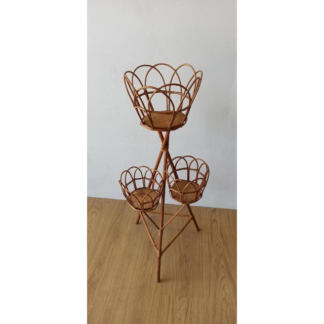 Wicker Plant Stand, 1960s For Sale - Image 9 of 9
