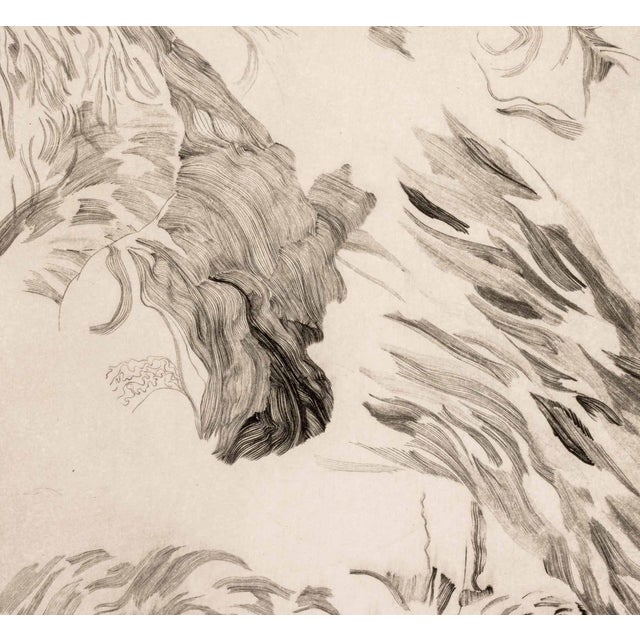 Howard Norton Cook Floral Abstraction Etching For Sale - Image 4 of 8