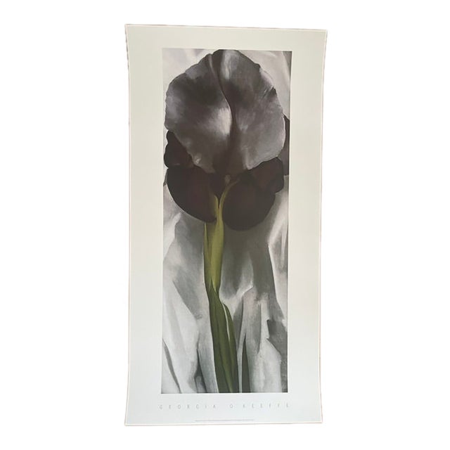 Georgia O’Keeffe (1887-1986), Dark Iris I, 1927, Copyright 1999- G.O’Keeffe/SOFAM Belgique Editions Pierre D’ Harville, Printed in Italy For Sale