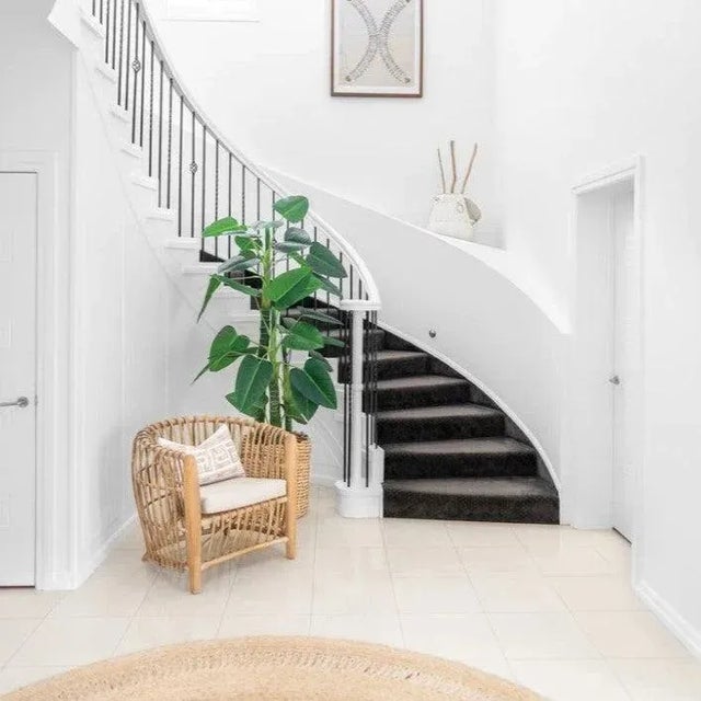 Transitional Binah Sanded Rattan Tub Chair Natural Color For Sale - Image 3 of 9