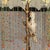 Mid-Century Modern Vintage Cockatoo Table Lamp | Beaded Dome Shade For Sale - Image 3 of 6