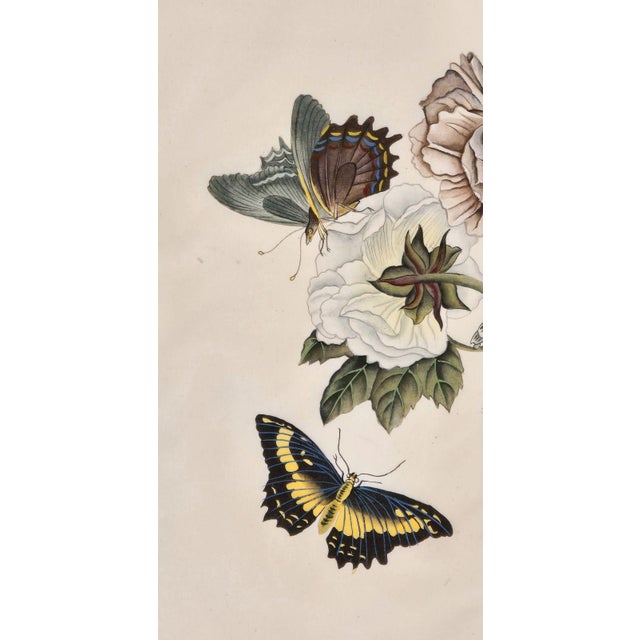 Late 19th Century China Trade Painting of Flowers & Butterflies, Circa 1880 For Sale - Image 5 of 6