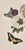 Late 19th Century China Trade Painting of Flowers & Butterflies, Circa 1880 For Sale - Image 5 of 6