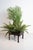 Mid-Century Rosewood Planter For Sale - Image 5 of 9
