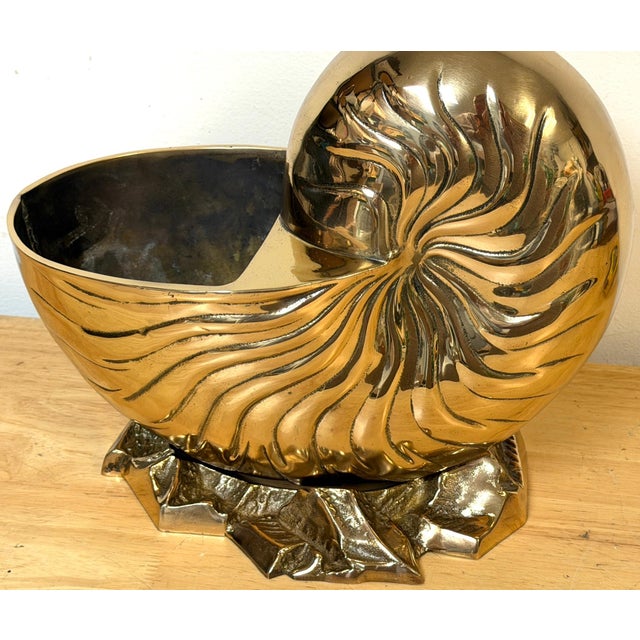 Large Polished Brass Nautilus Shell Vase by Sarreid, Spain, Circa 1970s For Sale - Image 9 of 14