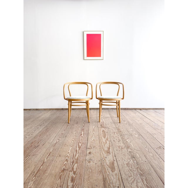 Modern 209 P Bentwood Armchairs in Beech with Velvet in Sage by Michael Thonet for Thonet, Germany, 1988, Set of 2 For Sale - Image 3 of 16