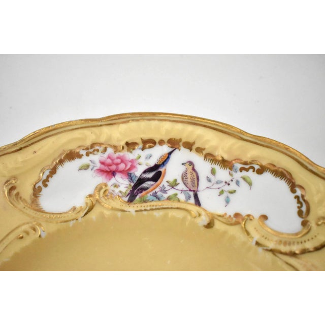 Set of 9 Hand-Painted Sevres-Style Porcelain Small Plates With Flowers & Birds For Sale - Image 11 of 13