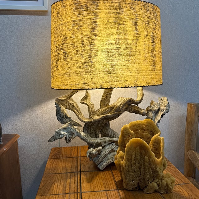 Incredible Large Sea Sponge Vase Specimen For Sale - Image 4 of 7