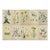 19th Century James Sowerby Botanical Prints – Common Club-Rush and Needle, Set of 10 For Sale