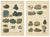 Kenngott, Mineralogy Chromolithographs, Azurite, Malachite, Meteorites, 1888, Paper For Sale - Image 9 of 9