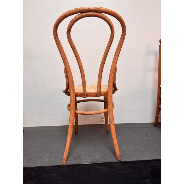 Bentwood Chair Hand Caned With Advanced Weave, Daisy and Button For Sale - Image 10 of 13