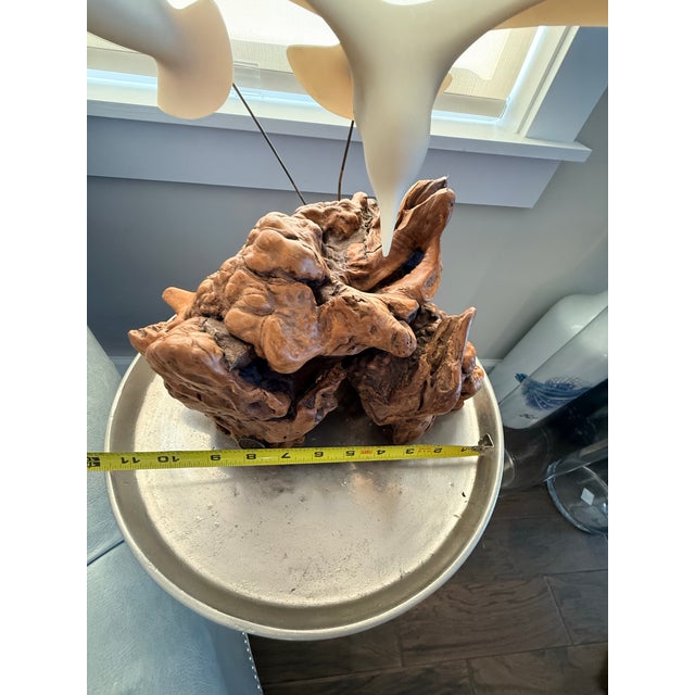 Vintage Mid-Century Modern Large John Perry "Seagulls in Flight" Duo Burl Wood Sculpture For Sale In Savannah - Image 6 of 11