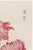 Japanese Pink Chrysanthemums, Vintage Japanese Botanical Art Print, 12" X 18" For Sale - Image 3 of 10