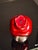Ruby Red 1990s Modern Enamel Pomegranate Dreidel Sevivon Solid Metal Gilt Hebrew Letters Base Stand For Sale - Image 8 of 14