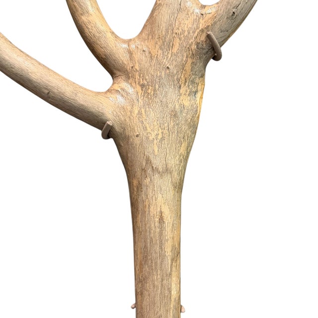 Wood Late 19th Century Espalier Pitchfork on Custom Wall Mount For Sale - Image 7 of 7