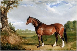 Example of Ralph Lauren Home Reproduction Prints