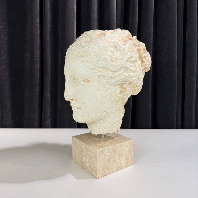 This is a beautiful vintage piece depicting a classical Greek female head in the style of ancient museum fragments. The...