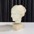 This is a beautiful vintage piece depicting a classical Greek female head in the style of ancient museum fragments. The...