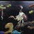Mid 20th Century Vintage Chinese Rosewood Box | Mother-of-Pearl & Gemstone Inlaid Crane & Pine Motif For Sale - Image 5 of 9