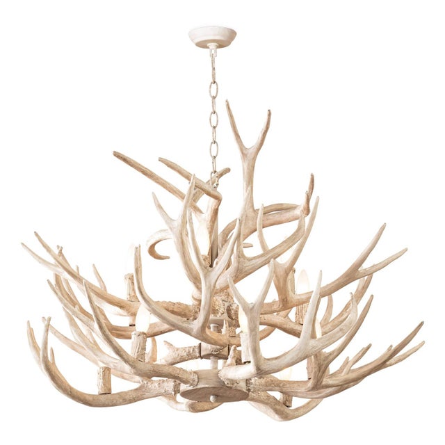 Tan Waylon Antler Chandelier For Sale - Image 8 of 8
